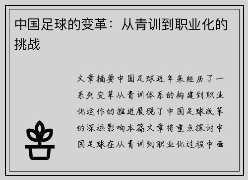 中国足球的变革：从青训到职业化的挑战